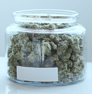 Flores de cannabis secas para uso "in natura"