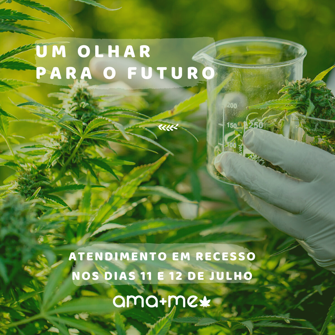 Cannabis Medicinal Um Olhar Para O Futuro Ama Me 7166